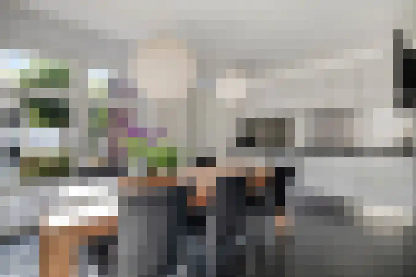 Keizersmantel 4 Hoogeveen thumbnail 17