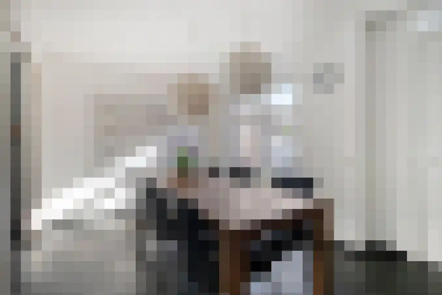Keizersmantel 4 Hoogeveen thumbnail 22
