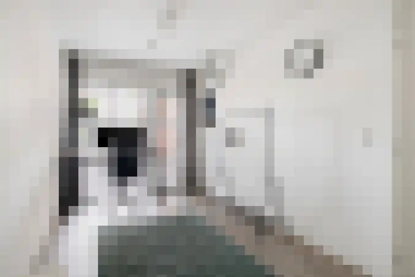 Keizersmantel 4 Hoogeveen thumbnail 24