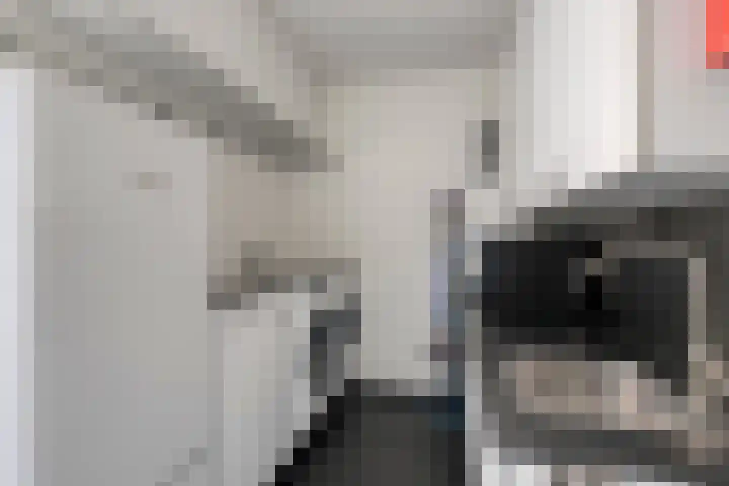 Keizersmantel 4 Hoogeveen thumbnail 26