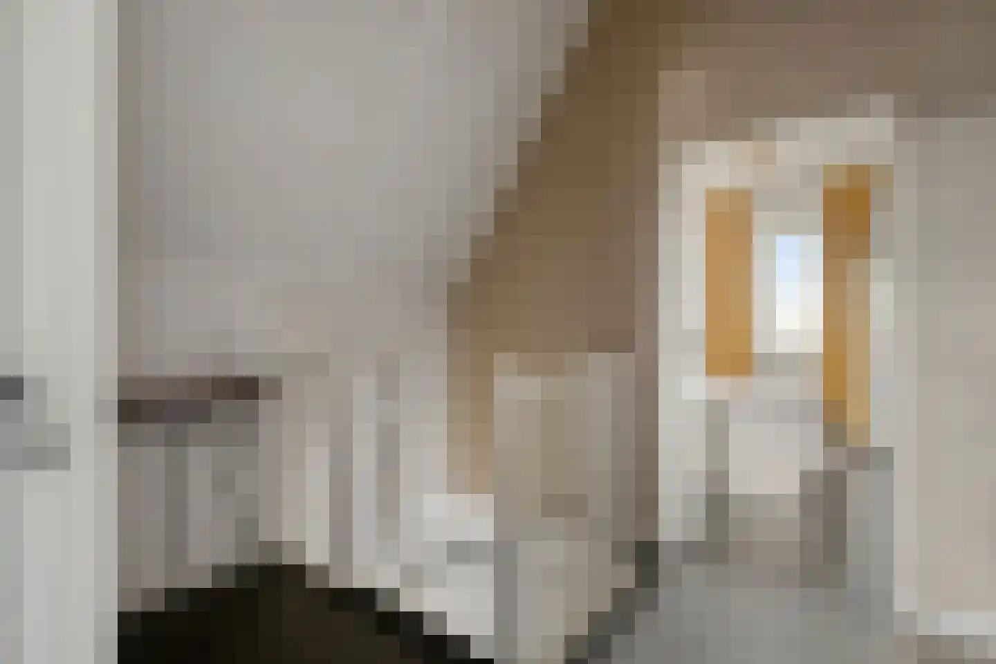 Keizersmantel 4 Hoogeveen thumbnail 40