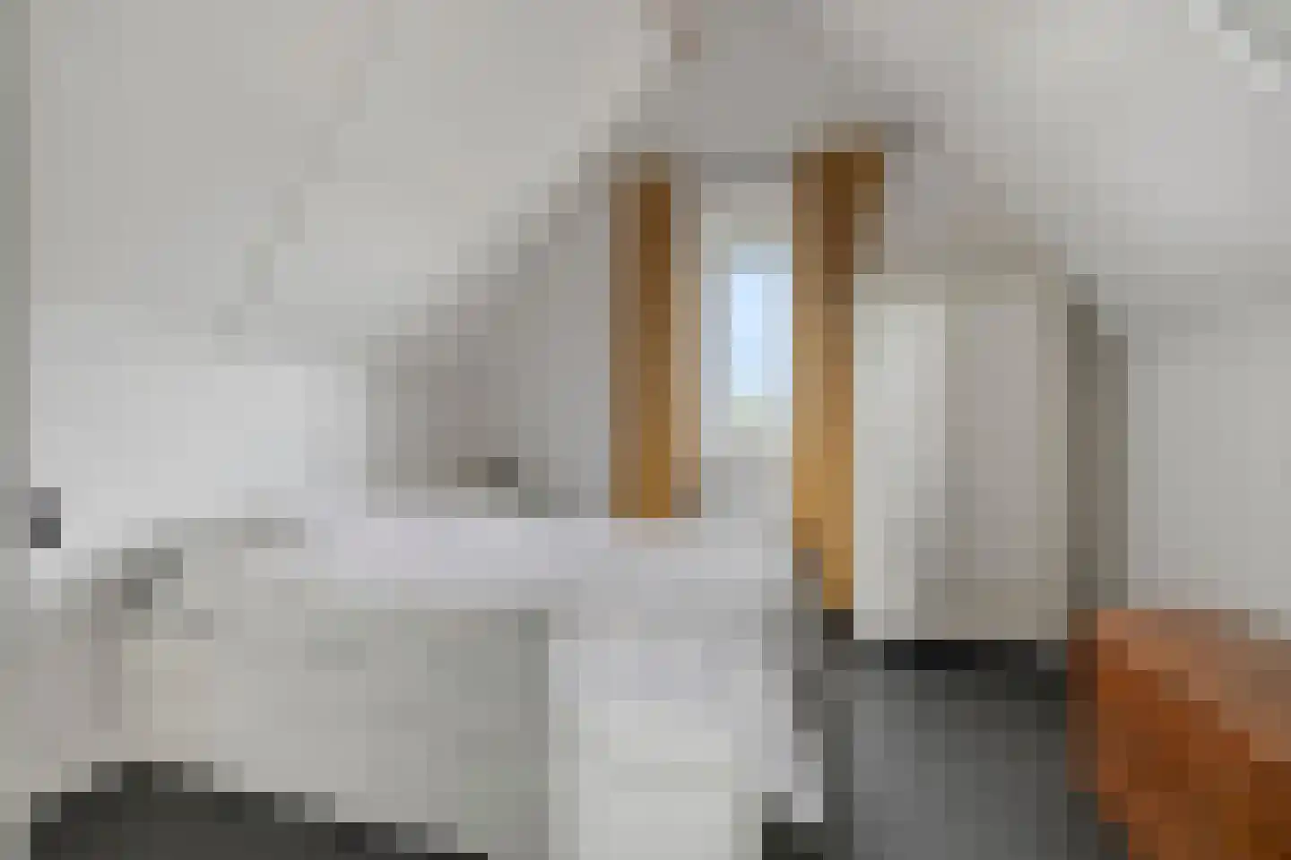 Keizersmantel 4 Hoogeveen thumbnail 41