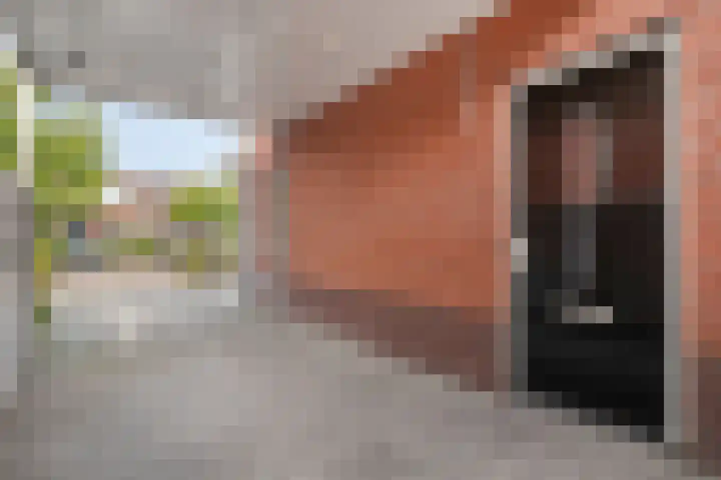 Keizersmantel 4 Hoogeveen thumbnail 50