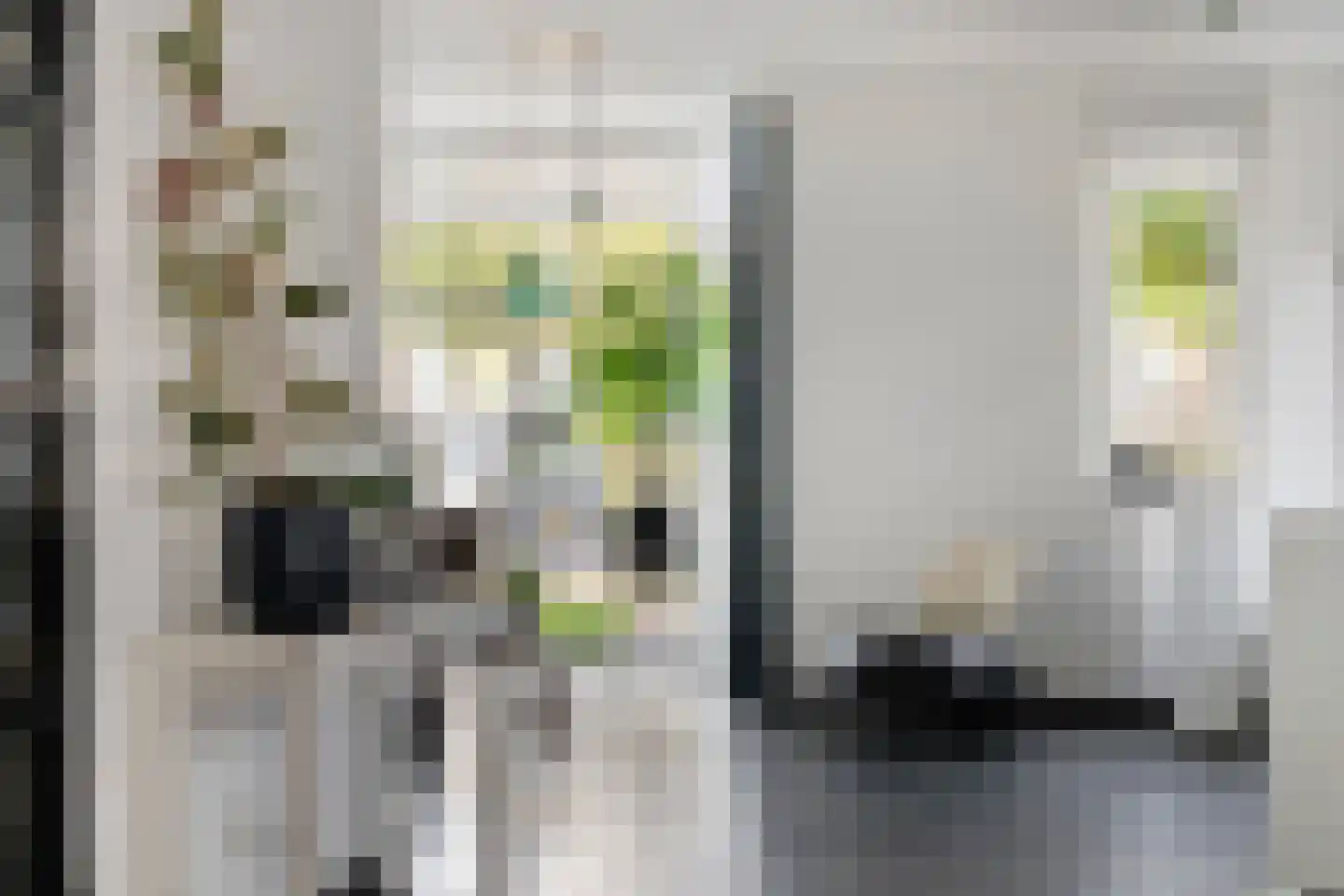 Keizersmantel 4 Hoogeveen thumbnail 9