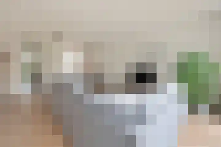 Keizersmantel 4 Nijkerk thumbnail 12