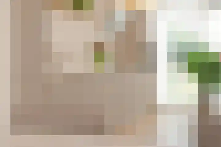 Keizersmantel 4 Nijkerk thumbnail 13