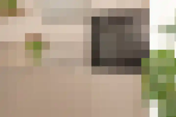 Keizersmantel 4 Nijkerk thumbnail 14