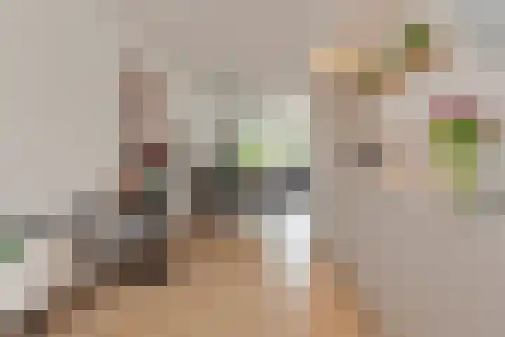 Keizersmantel 4 Nijkerk thumbnail 15