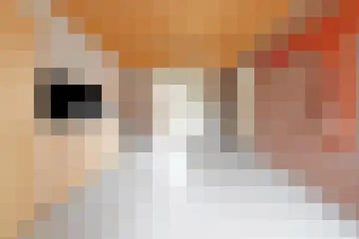 Keizersmantel 4 Nijkerk thumbnail 17