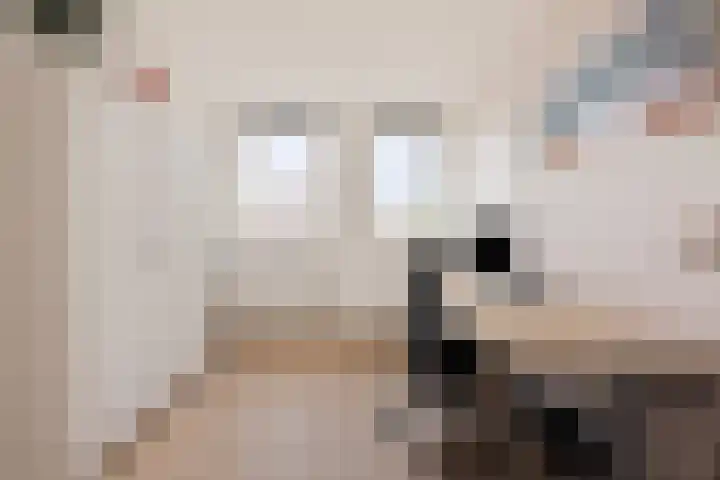 Keizersmantel 4 Nijkerk thumbnail 25