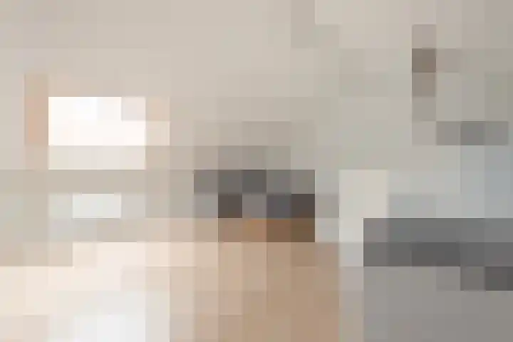 Keizersmantel 4 Nijkerk thumbnail 27