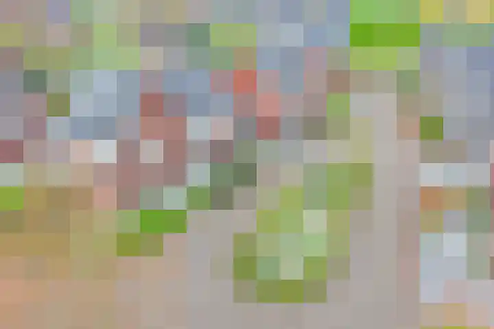 Keizersmantel 4 Nijkerk thumbnail 31