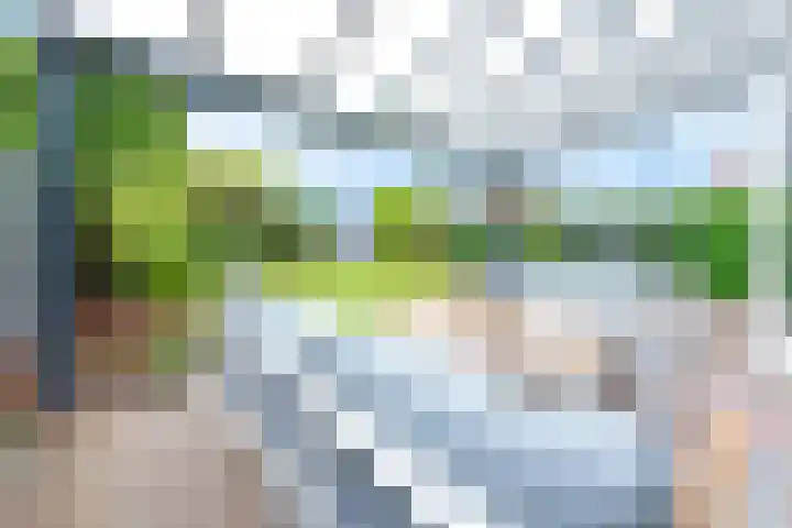 Keizersmantel 4 Nijkerk thumbnail 32