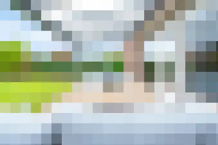 Keizersmantel 4 Nijkerk thumbnail 33