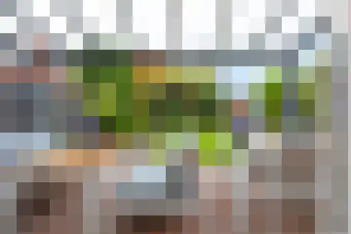Keizersmantel 4 Nijkerk thumbnail 34