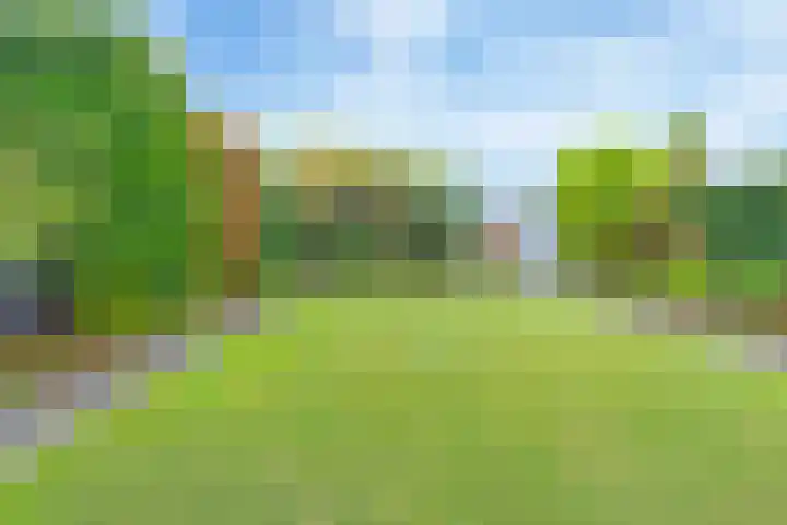 Keizersmantel 4 Nijkerk thumbnail 37