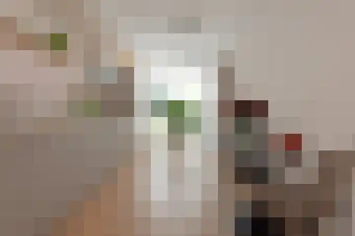 Keizersmantel 4 Nijkerk thumbnail 5