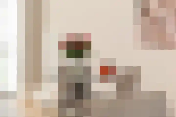 Keizersmantel 4 Nijkerk thumbnail 6