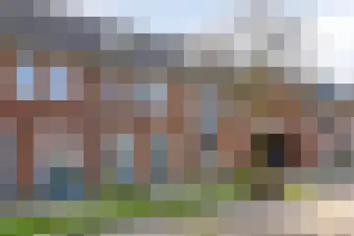 Keizersmantel 40 Someren thumbnail 7