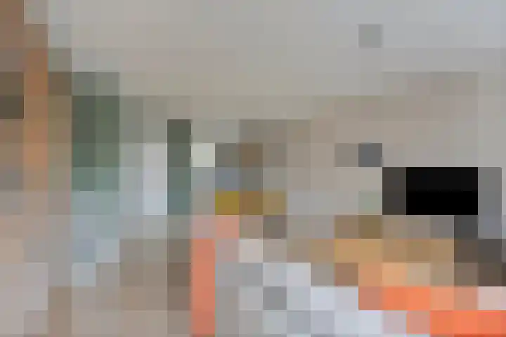 Keizersmantel 48 Someren thumbnail 14