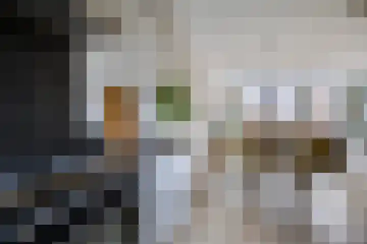 Keizersmantel 48 Someren thumbnail 18