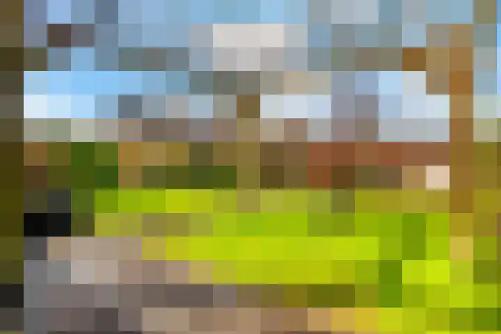Keizersmantel 48 Someren thumbnail 23