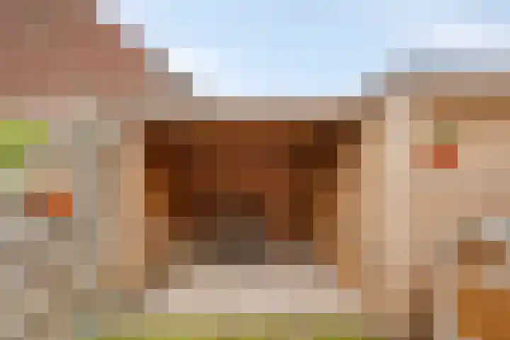 Keizersmantel 48 Someren thumbnail 30