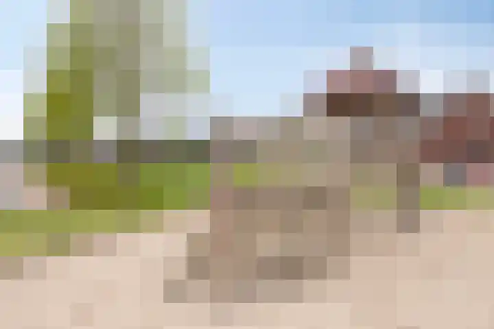Keizersmantel 48 Someren thumbnail 34