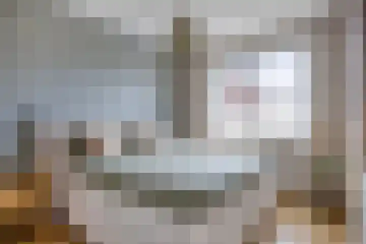 Keizersmantel 48 Someren thumbnail 4