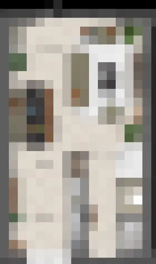 Keizersmantel 5 Driebruggen thumbnail 4