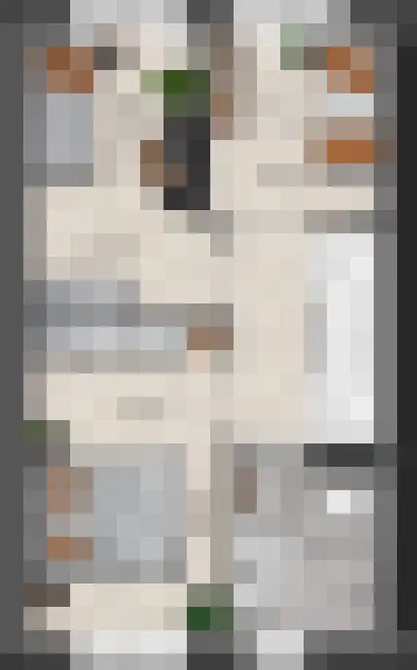 Keizersmantel 5 Driebruggen thumbnail 5