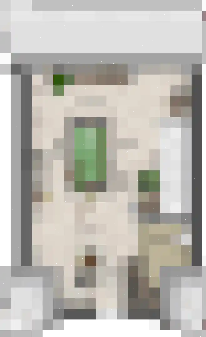 Keizersmantel 5 Driebruggen thumbnail 6