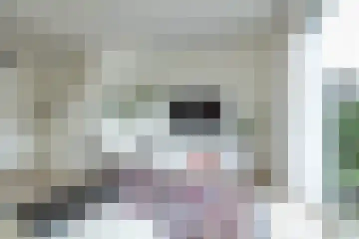 Keizersmantel 5 Hoogeveen thumbnail 10