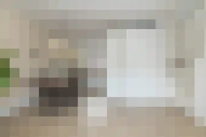 Keizersmantel 5 Hoogeveen thumbnail 11