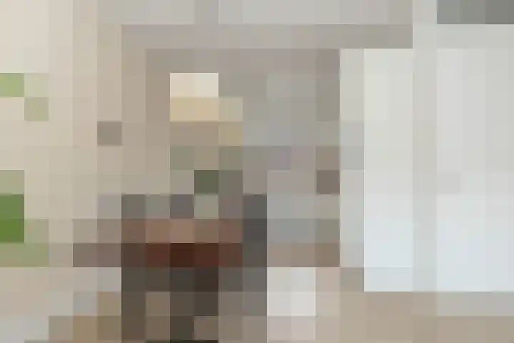 Keizersmantel 5 Hoogeveen thumbnail 12