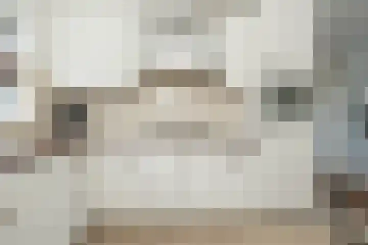 Keizersmantel 5 Hoogeveen thumbnail 14