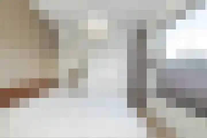 Keizersmantel 5 Hoogeveen thumbnail 19