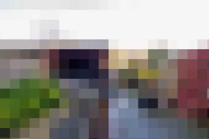 Keizersmantel 5 Hoogeveen thumbnail 30