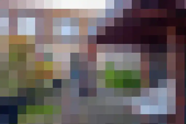 Keizersmantel 5 Hoogeveen thumbnail 35