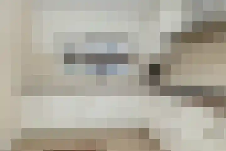 Keizersmantel 5 Hoogeveen thumbnail 4