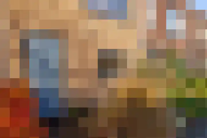 Keizersmantel 5 Hoogeveen thumbnail 6