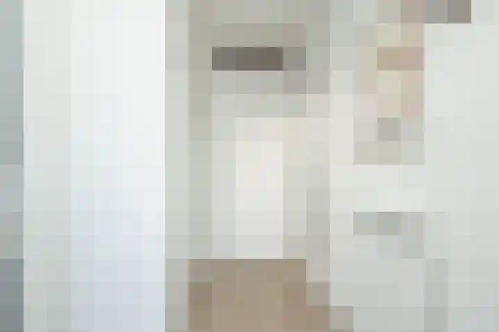 Keizersmantel 5 Hoogeveen thumbnail 7