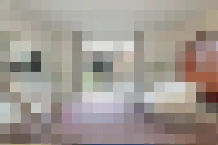 Keizersmantel 5 Hoogeveen thumbnail 9