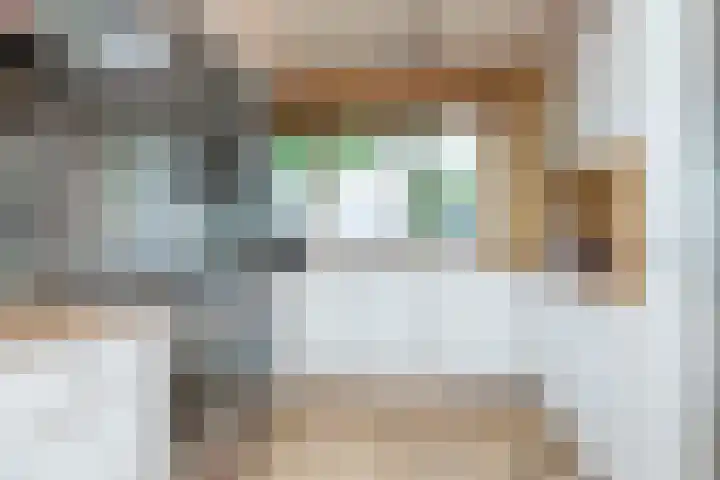 Keizersmantel 50 Hoogeveen thumbnail 4