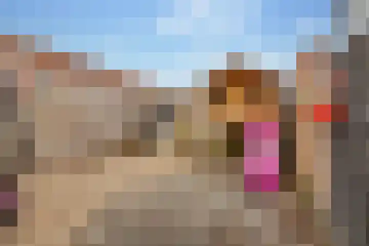 Keizersmantel 50 Hoogeveen thumbnail 41