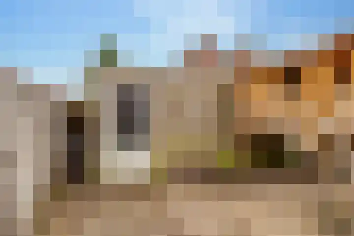 Keizersmantel 50 Hoogeveen thumbnail 42