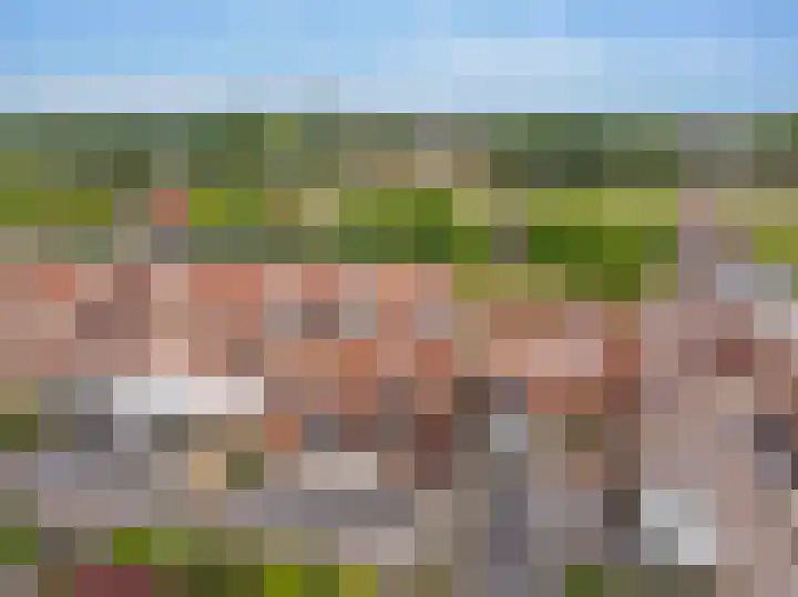 Keizersmantel 50 Hoogeveen thumbnail 46