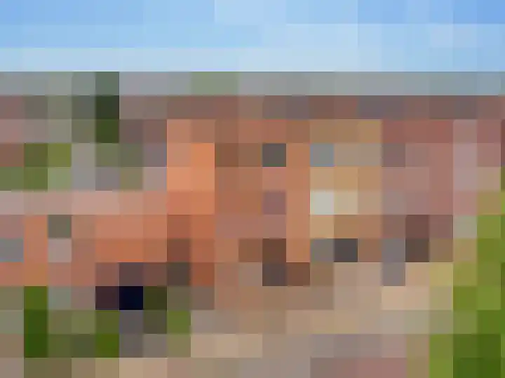 Keizersmantel 50 Hoogeveen thumbnail 47