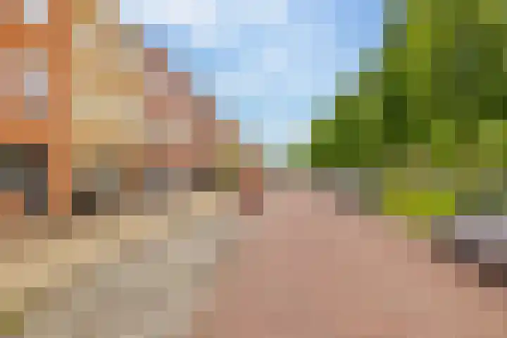 Keizersmantel 50 Hoogeveen thumbnail 49