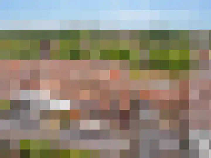 Keizersmantel 50 Hoogeveen thumbnail 5